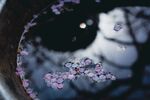 水