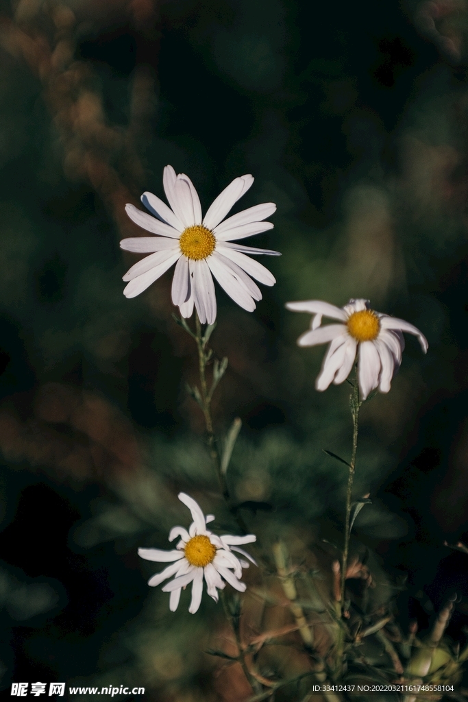 花