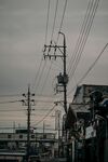 城市