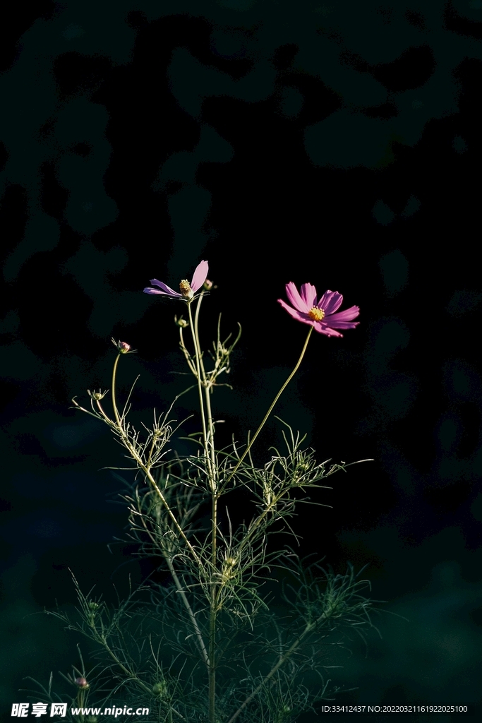 花