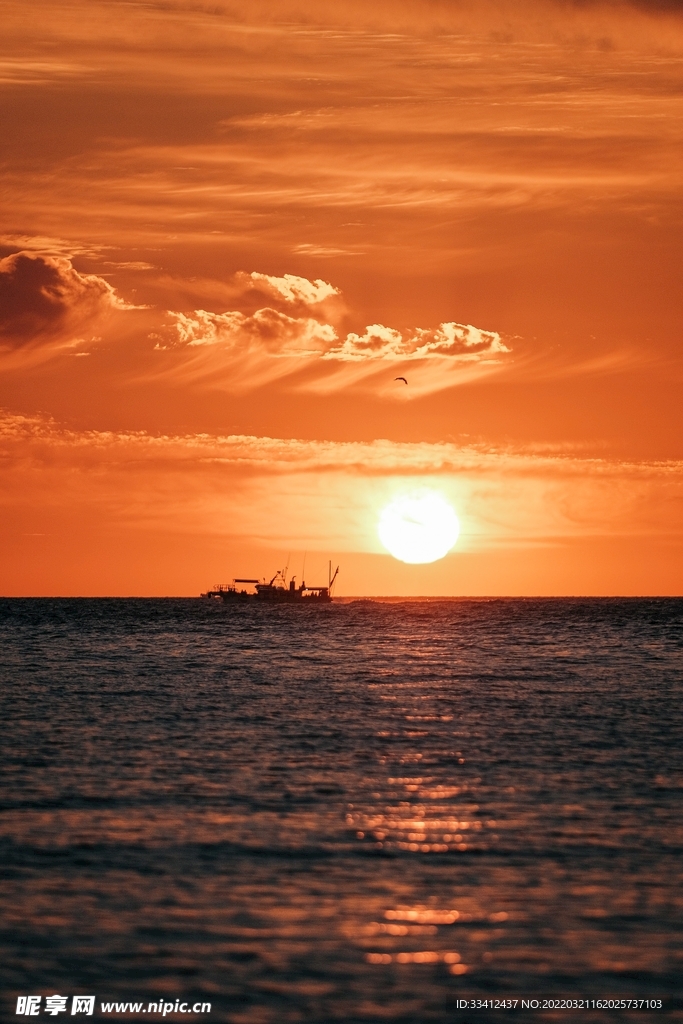 大海