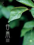 谷雨