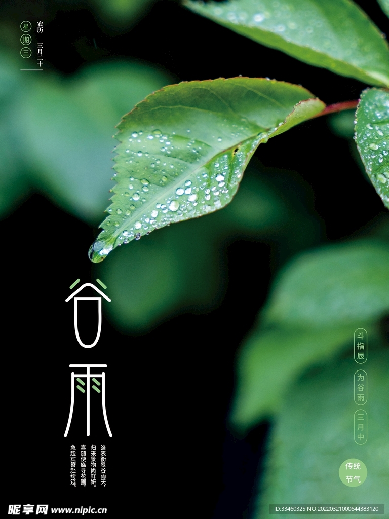 谷雨