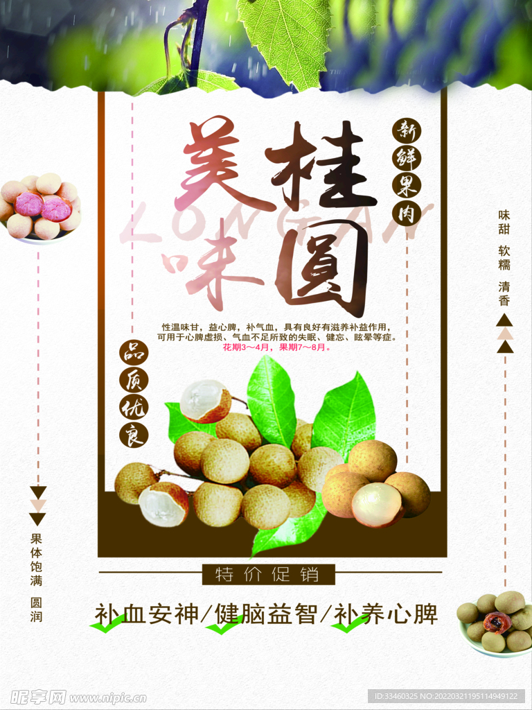 桂圆