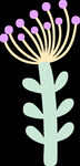 小草小花           