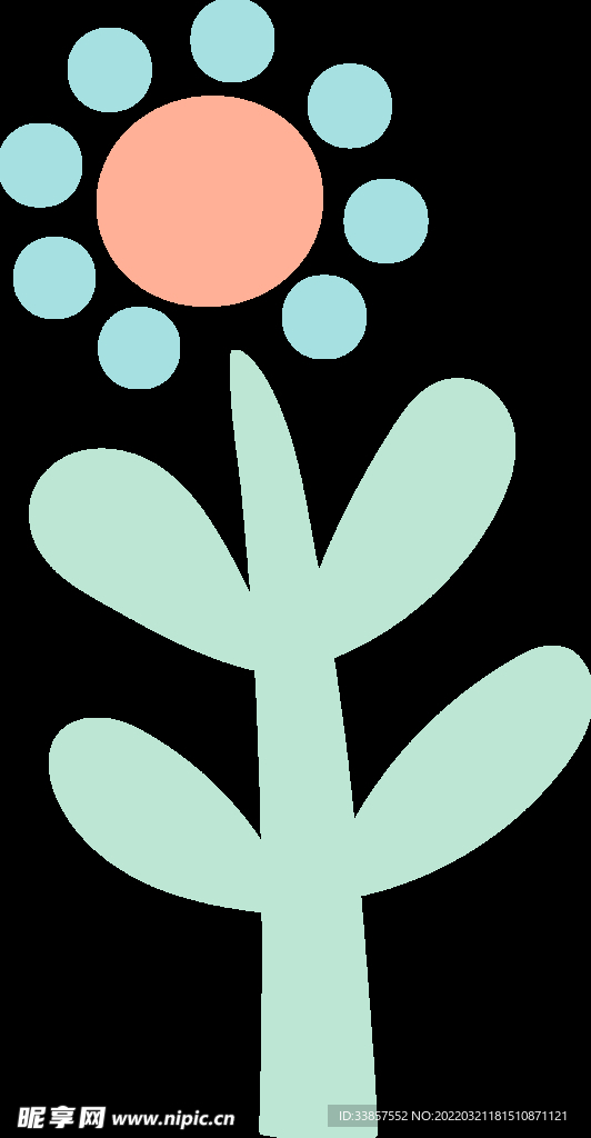小草小花           