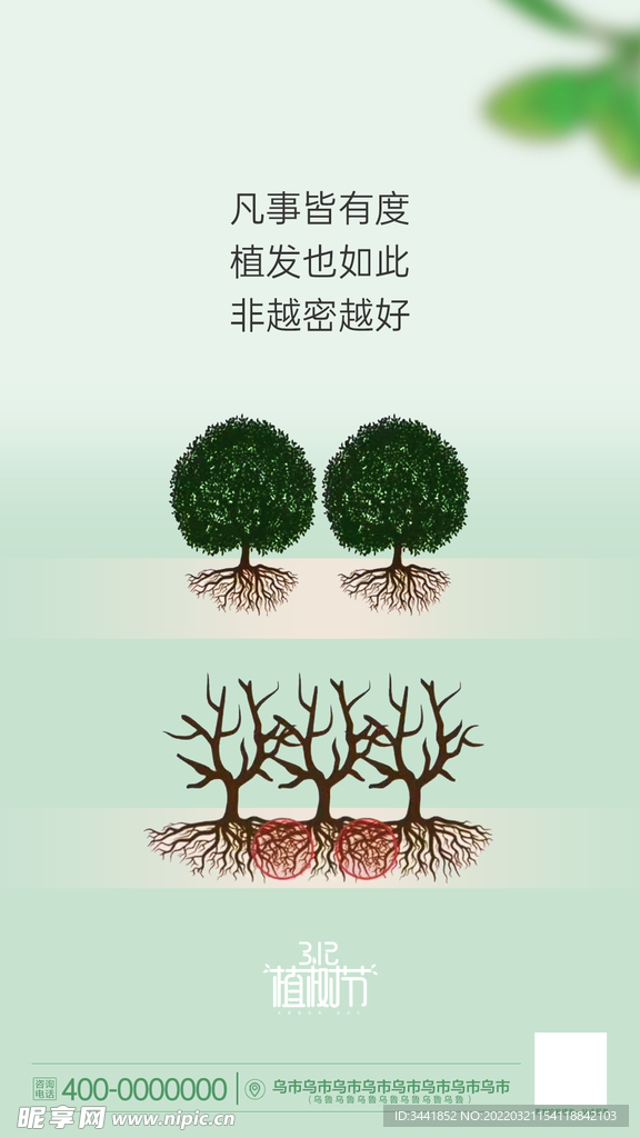 树干