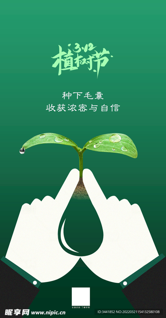 植树节