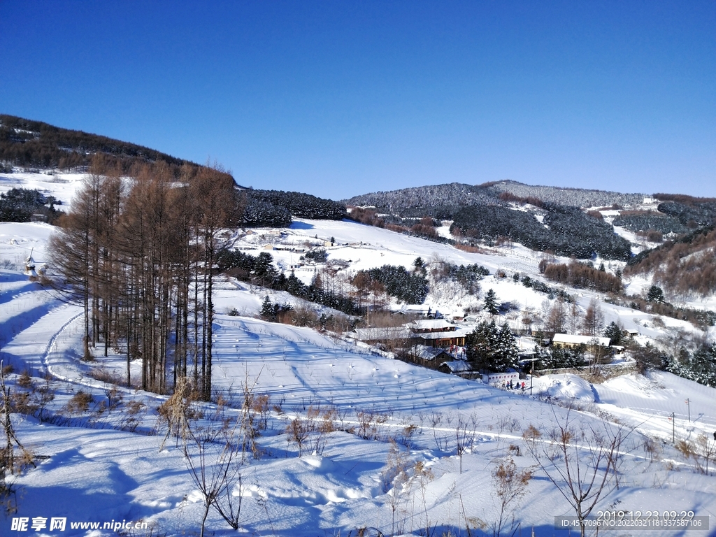 雪村