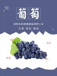葡萄海报