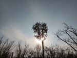 太阳