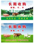 收猪牛羊名片