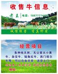 收牛名片