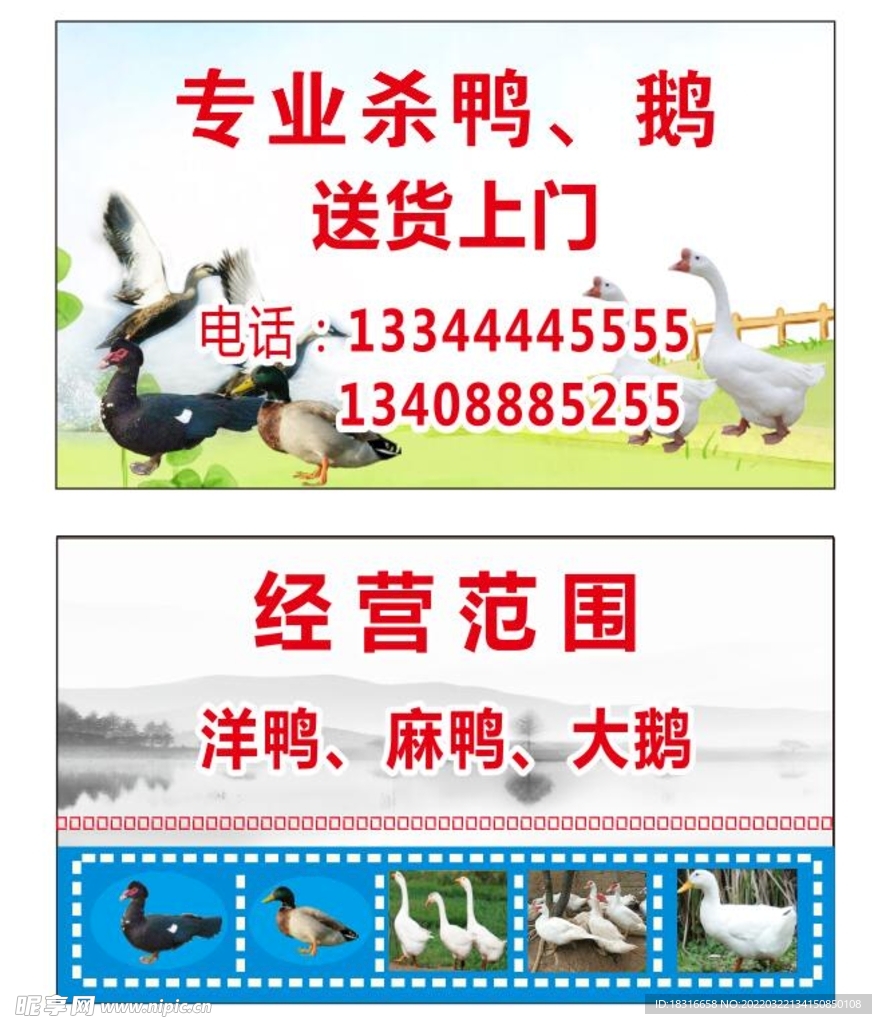 鸭名片