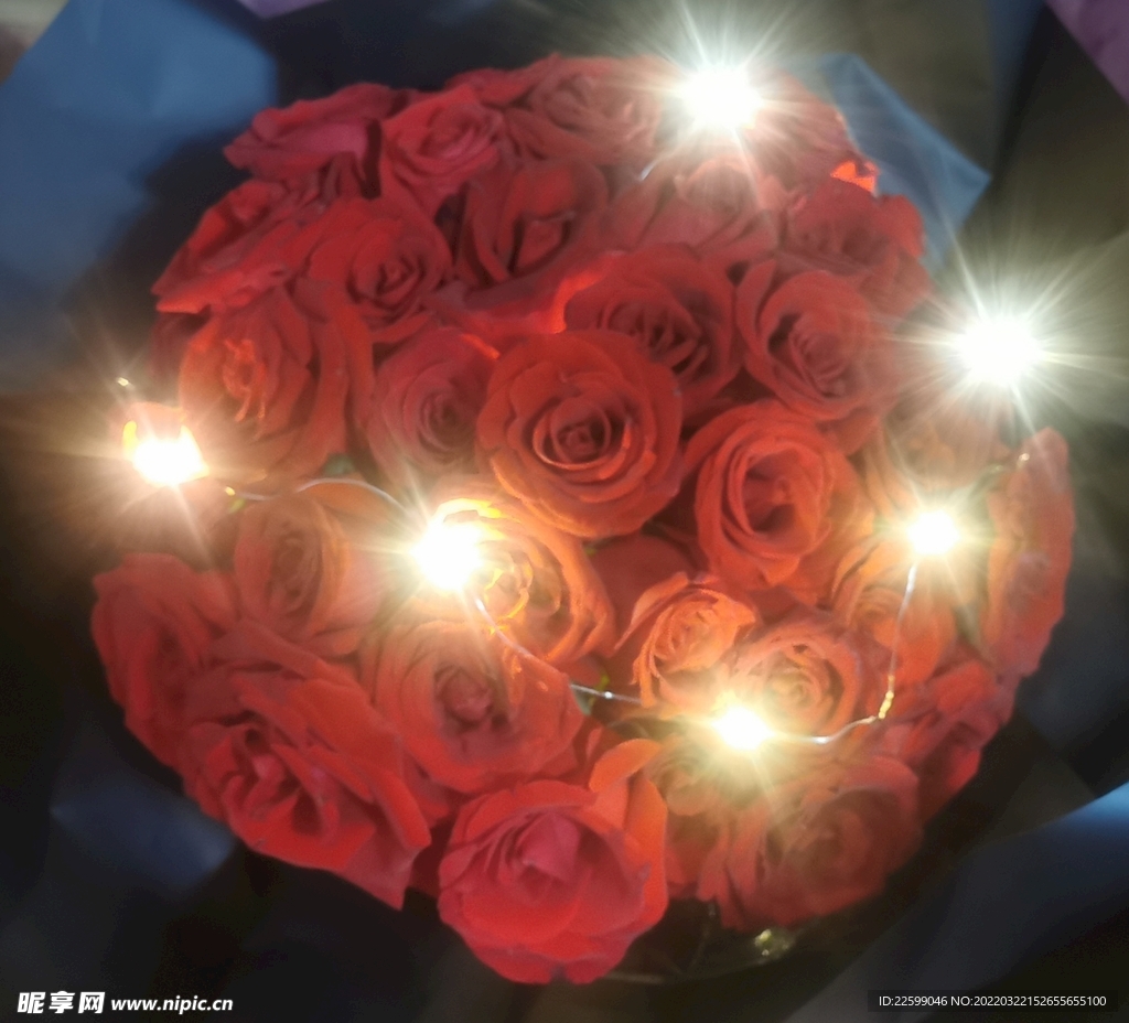 玫瑰花
