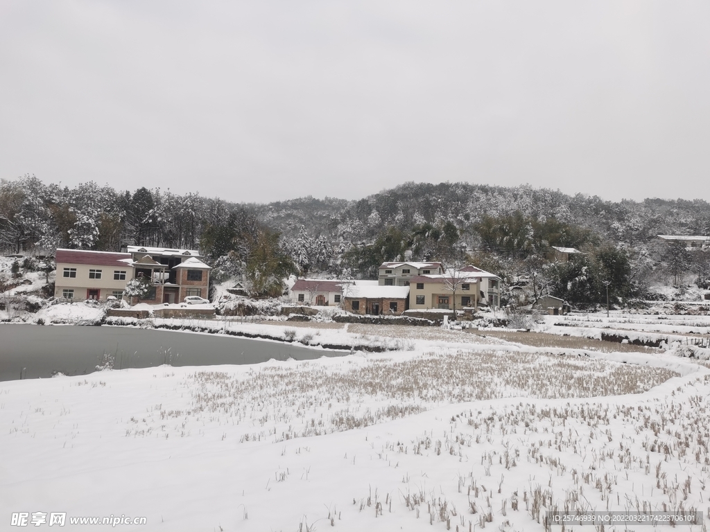 家乡的大雪