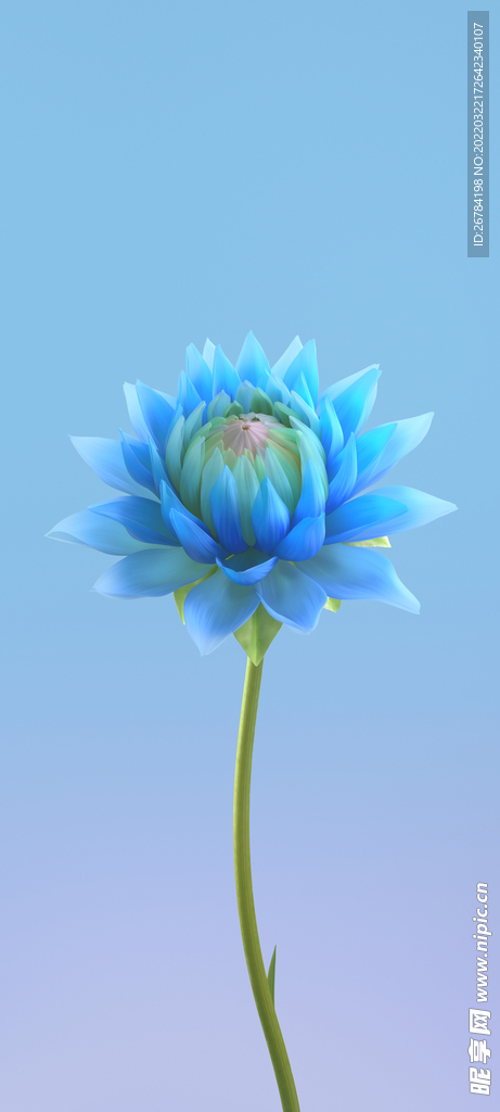 抽象 线条 底纹 素材 高端 