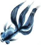 鱼