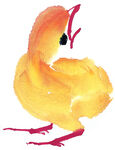小鸡