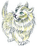 猫