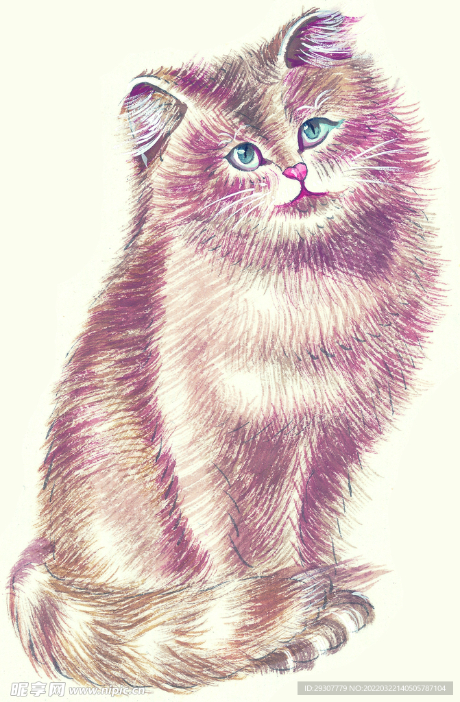 猫