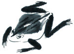 青蛙