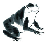 青蛙