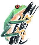 青蛙