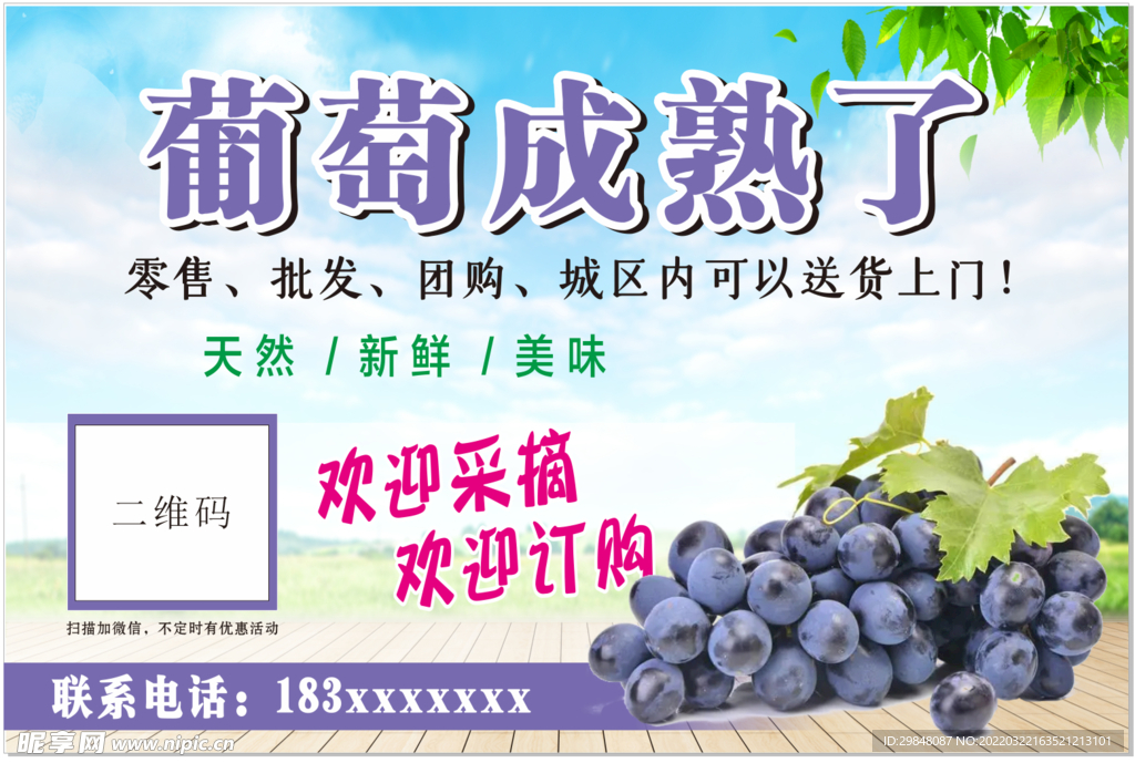 葡萄