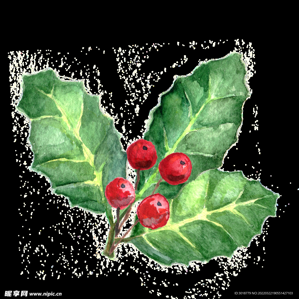 圣诞节花纹 