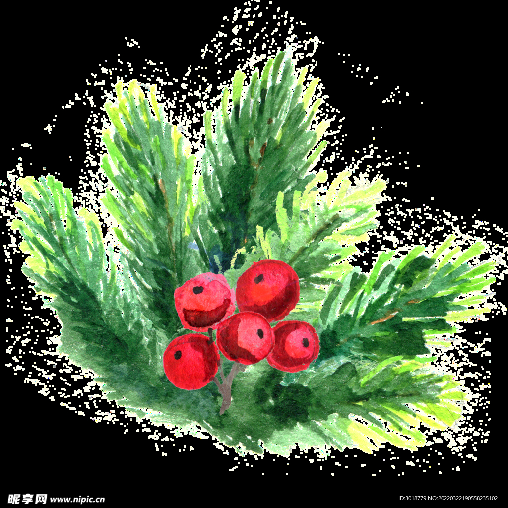 圣诞节花纹