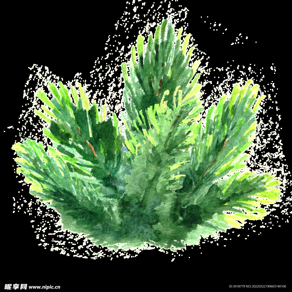 圣诞节花纹 