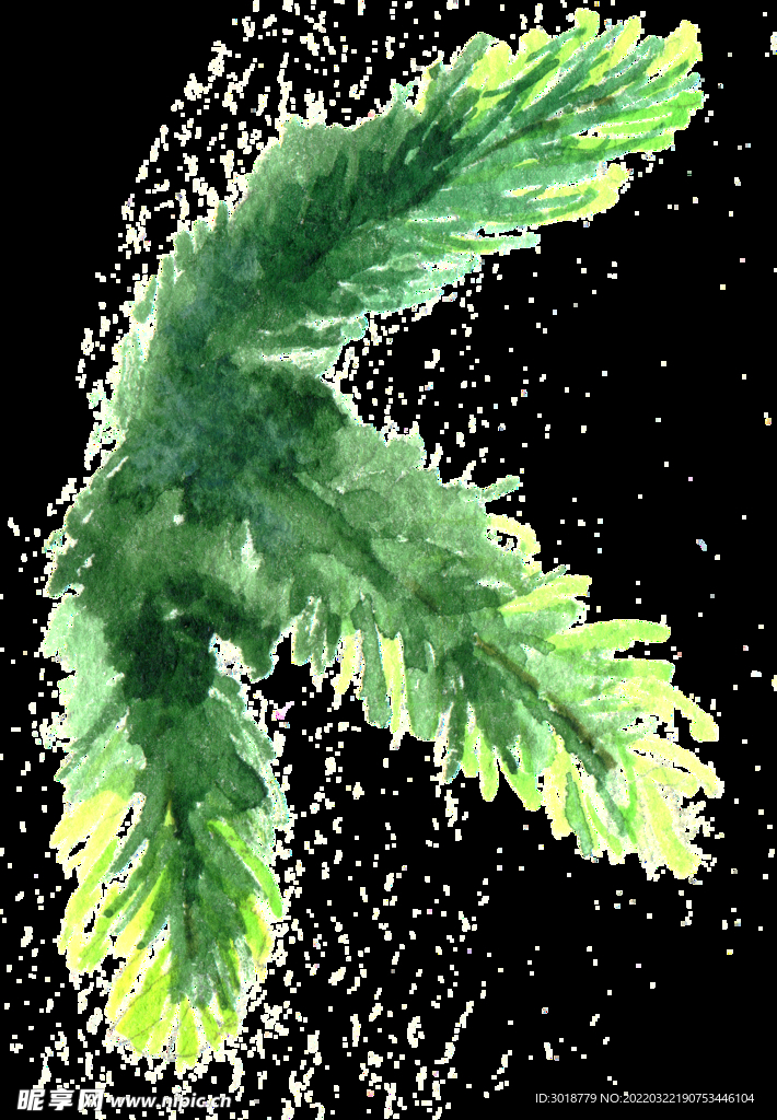 圣诞节花纹 