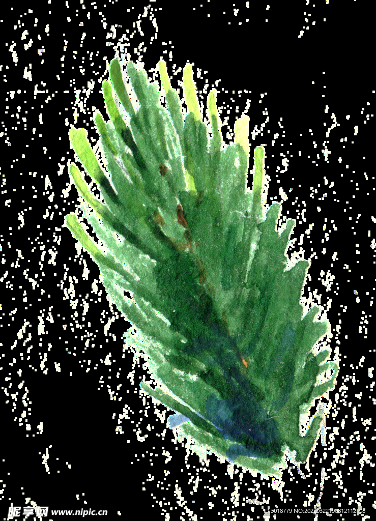 圣诞节花纹