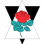 玫瑰花矢量