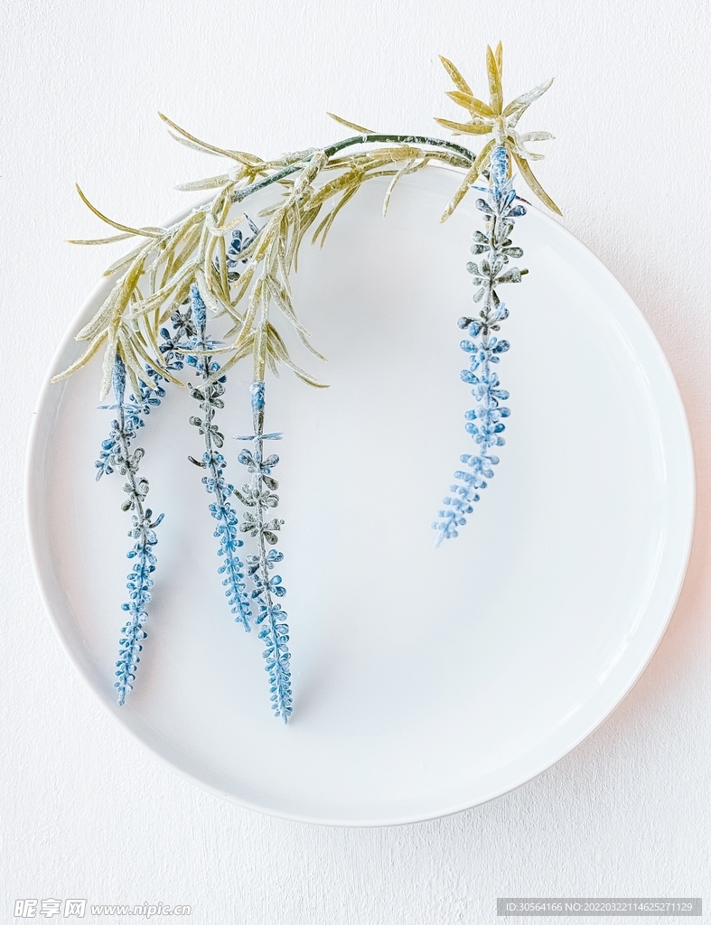 简约盘子小花