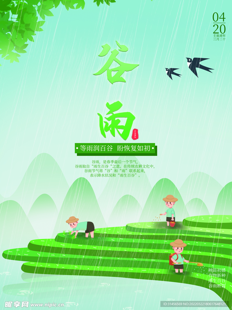 谷雨