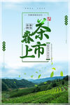 春茶上市