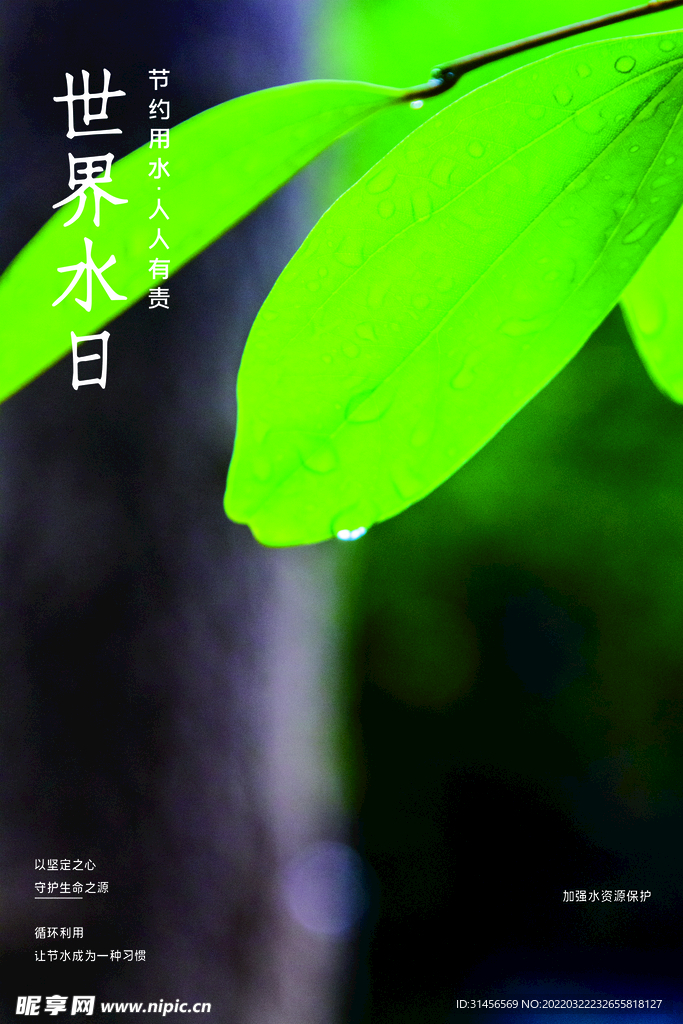 世界水日