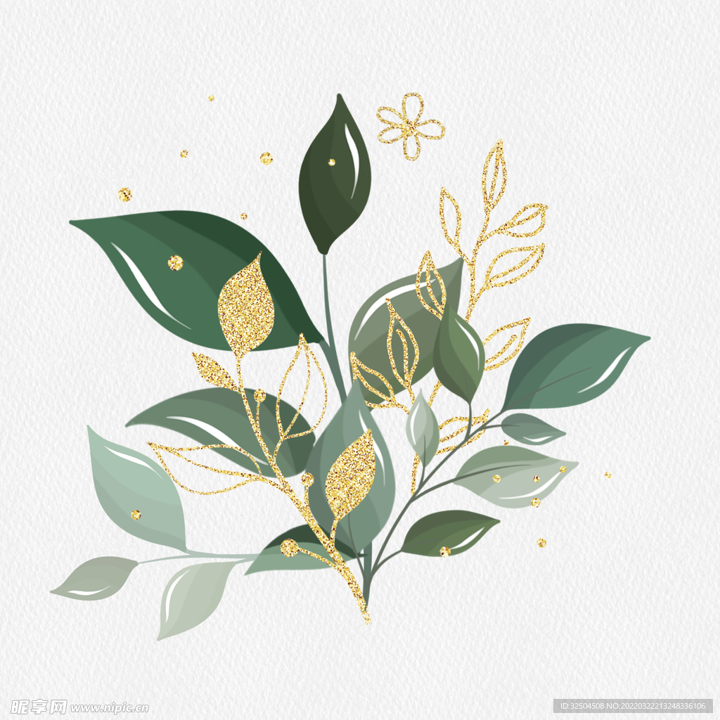 绿色植物叶子金边