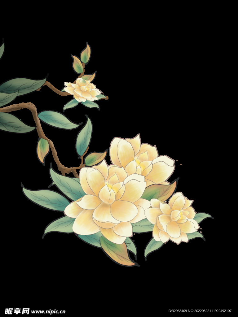 花朵