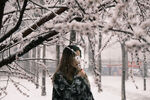 雪中的花