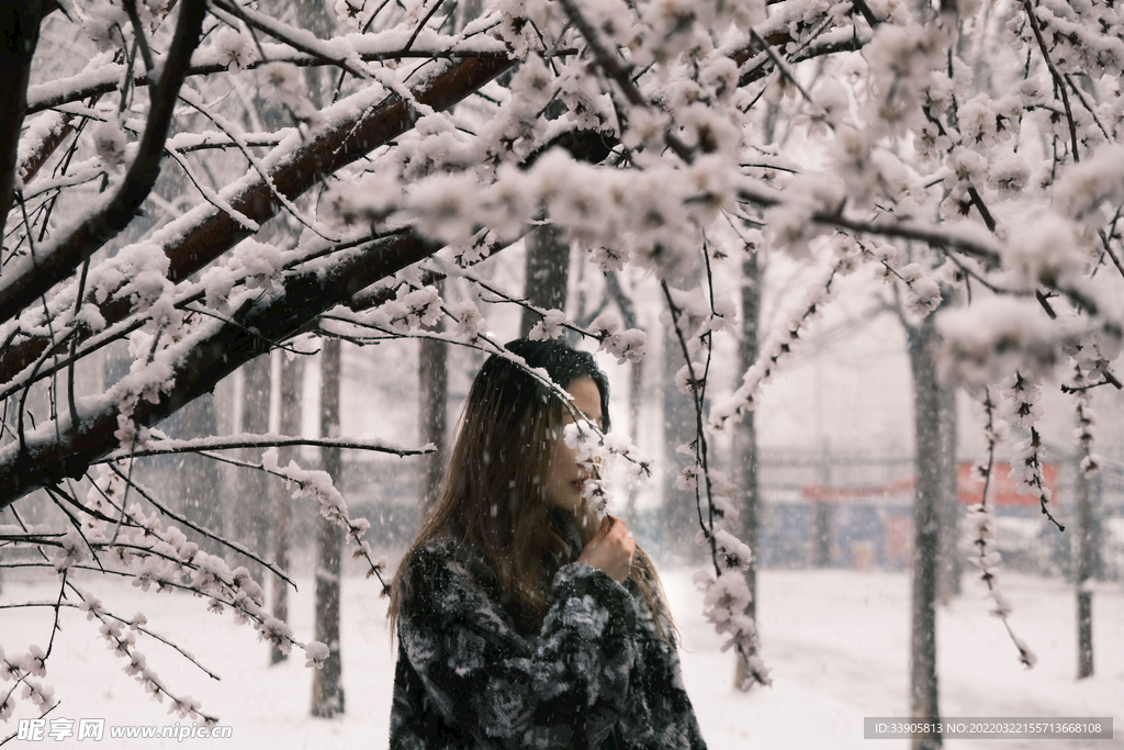 雪中的花