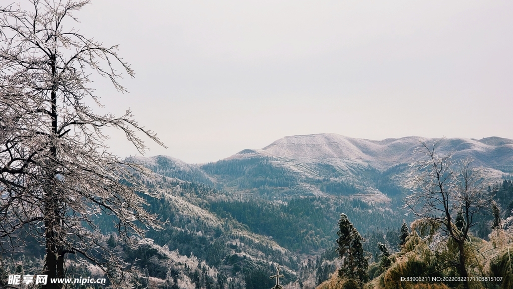 雪景