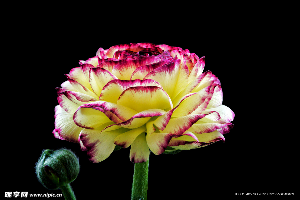 花