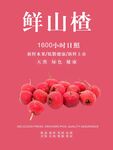 山楂海报