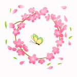 美丽蝴蝶素材