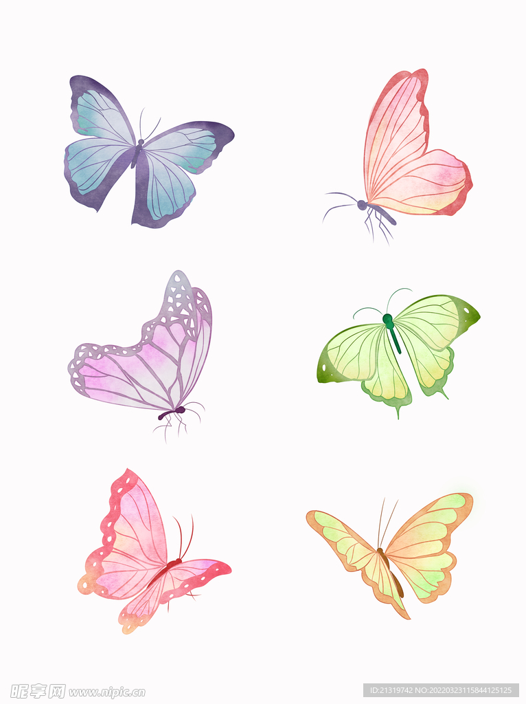 蝴蝶插画