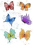 蝴蝶插画素材