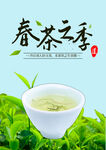 春茶
